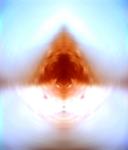 <b>Untitled</b> - (Pulsars) / color photograph / 42x36 cm / edition: 3 and 2 a.p. / 2004