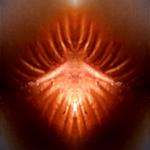 <b>Untitled</b> - (Pulsars) / color photograph / 20x20 cm / edition: 3 and 2 a.p. / 2004