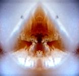 <b>Untitled</b> - (Pulsars) / color photograph / 24x25 cm / edition: 3 and 2 a.p. / 2004