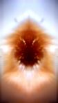 <b>Untitled</b> - (Pulsars) / color photograph / 32x18 cm / edition: 3 and 2 a.p. / 2004