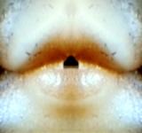 <b>Untitled</b> - (Pulsars) / color photograph / 15x16 cm / edition: 3 and 2 a.p. / 2004