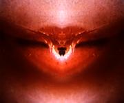 <b>Untitled</b> - (Pulsars) / color photograph / 35x42 cm / edition: 3 and 2 a.p. / 2004