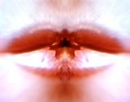<b>Untitled</b> - (Pulsars) / color photograph / 26x33 cm / edition: 3 and 2 a.p. / 2004