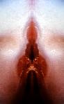 <b>Untitled</b> - (Pulsars) / color photograph / 26x16 cm / edition: 3 and 2 a.p. / 2004