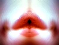 <b>Untitled</b> - (Pulsars) / color photograph / 38x50 cm / edition: 3 and 2 a.p. / 2004