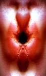 <b>Untitled</b> - (Pulsars) / color photograph / 36x22 cm / edition: 3 and 2 a.p. / 2004