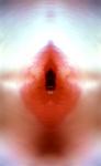 <b>Untitled</b> - (Pulsars) / color photograph / 13x8 cm / edition: 3 and 2 a.p. / 2004