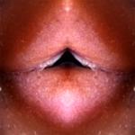 <b>Untitled</b> - (Pulsars) / color photograph / 38x38 cm / edition: 3 and 2 a.p. / 2004