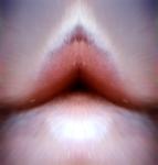 <b>Untitled</b> - (Pulsars) / color photograph / 23x22 cm / edition: 3 and 2 a.p. / 2004