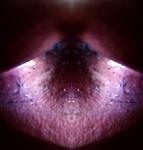 <b>Untitled</b> - (Pulsars) / color photograph / 24x23 cm / edition: 3 and 2 a.p. / 2004