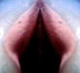 <b>Untitled</b> - (Pulsars) / color photograph / 10x11 cm / edition: 3 and 2 a.p. / 2004