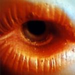 <b>Untitled</b> - (Black holes) / color photograph / 50x50 cm / edition: 3 and 2 a.p. / 1998-2000