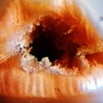 <b>Untitled</b> - (Black holes) / color photograph / 50x50 cm / edition: 3 and 2 a.p. / 1998-2000