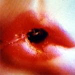 <b>Untitled</b> - (Black holes) / color photograph / 50x50 cm / edition: 3 and 2 a.p. / 1998-2000