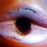 <b>Untitled</b> - (Black holes) / color photograph / 50x50 cm / edition: 3 and 2 a.p. / 1998-2000