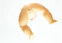 <b>Untitled</b> - (Atomic reactions) / color photograph / 120x170,83 cm / edition: 3 and 2 a.p. / 2002-2003