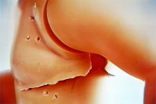 <b>Flash !</b> - (Flashs) / photographie couleur / 58x90 cm / édition: 3 et 2 e.a. / 1998