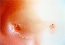 <b>Sans titre</b> - (Flashs) / photographie couleur / 50x70,9 cm / édition: 3 et 2 e.a. / 2000