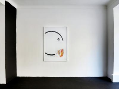 <b>Brutales curiosa</b> - vue de l'exposition, Le 22, Nice, 2016