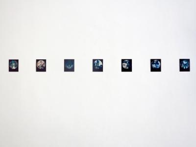 <b>Brutales curiosa</b> - vue de l'exposition, Le 22, Nice, 2016