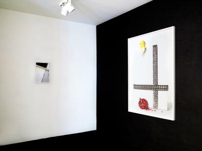 <b>Brutales curiosa</b> - vue de l'exposition, Le 22, Nice, 2016