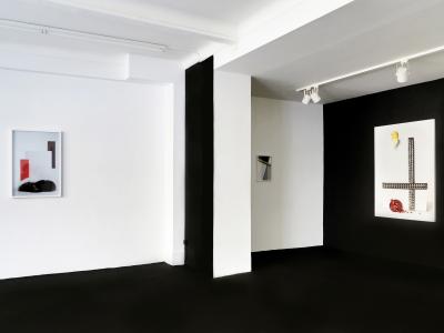 <b>Brutales curiosa</b> - vue de l'exposition, Le 22, Nice, 2016