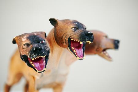 <b>Le gardien</b> - photographie couleur, 80x120 cm, édition: 3 et 2 e.a., 2012