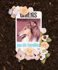 <b>Jeu de familles</b> - photographie couleur, 50x40 cm, édition: 3 et 2 e.a., 2010