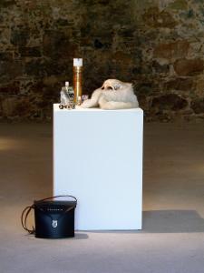 <b>Composition 1</b> - objects, 35x40x35 cm, 2010