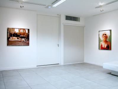 <b>Phénix silencieux</b> - vue de l'exposition, Galerie Norbert Pastor, Nice, 2008