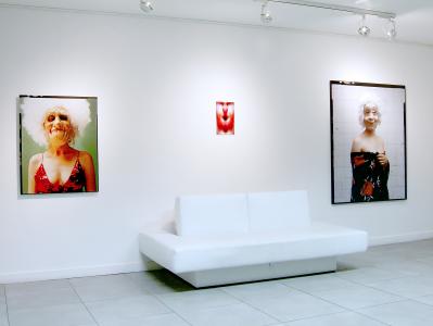 <b>Phénix silencieux</b> - vue de l'exposition, Galerie Norbert Pastor, Nice, 2008