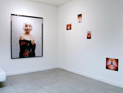 <b>Phénix silencieux</b> - vue de l'exposition, Galerie Norbert Pastor, Nice, 2008
