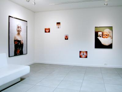 <b>Phénix silencieux</b> - vue de l'exposition, Galerie Norbert Pastor, Nice, 2008