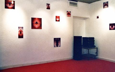 <b>Les émissions des pulsars</b> - vue de l'exposition, Galerie Municipale Renoir, Nice, 2004