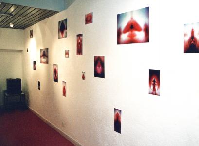 <b>Les émissions des pulsars</b> - vue de l'exposition, Galerie Municipale Renoir, Nice, 2004