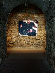 <b>La grenade</b> - vue de l'exposition, Fort Napoléon, Galerie La Tête d'Obsidienne, La Seyne-sur-Mer, 2010