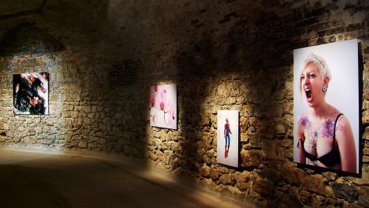 <b>La grenade</b> - vue de l'exposition, Fort Napoléon, Galerie La Tête d'Obsidienne, La Seyne-sur-Mer, 2010