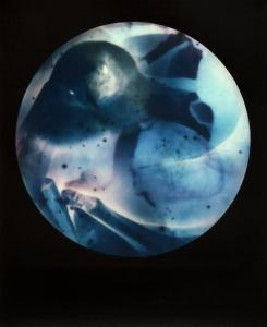 <b>Brutales curiosa</b> - color polaroid, 10,7x8,8 cm, single print, 2015-2016