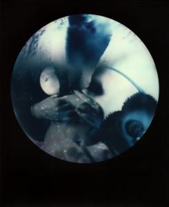 <b>Brutales curiosa</b> - color polaroid, 10,7x8,8 cm, single print, 2015-2016