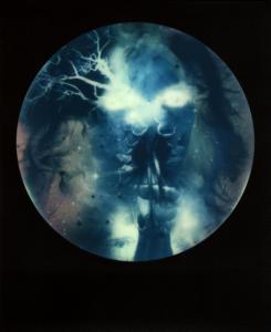 <b>Brutales curiosa</b> - color polaroid, 10,7x8,8 cm, single print, 2015-2016