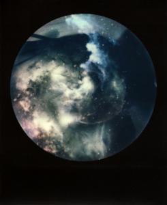 <b>Brutales curiosa</b> - color polaroid, 10,7x8,8 cm, single print, 2015-2016