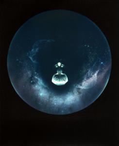 <b>Brutales curiosa</b> - color polaroid, 10,7x8,8 cm, single print, 2015-2016