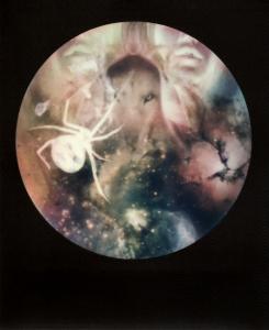 <b>Brutales curiosa</b> - color polaroid, 10,7x8,8 cm, single print, 2015-2016