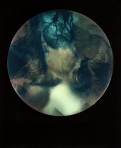<b>Brutales curiosa</b> - color polaroid, 10,7x8,8 cm, single print, 2015-2016