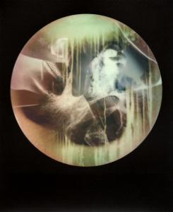 <b>Brutales curiosa</b> - color polaroid, 10,7x8,8 cm, single print, 2015-2016