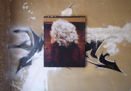 <b>L'herbe rouge</b> - exhibition view, Villa Cameline [Maison abandonnée], Nice, 2011