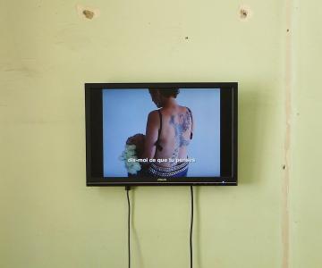 <b>L'herbe rouge</b> - exhibition view, Villa Cameline [Maison abandonnée], Nice, 2011
