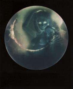 <b>Brutales curiosa</b> - color polaroid, 10,7x8,8 cm, single print, 2015-2016