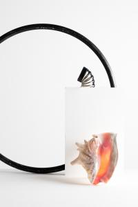 <b>Composition 66</b> - photographie couleur, 150x100 cm, édition: 3 et 2 e.a., 2015