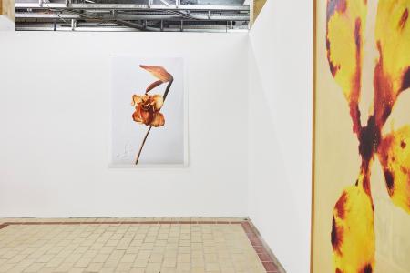 <b>Power flower</b> - de gauche à droite Frédéric Nakache, José Maria Sicilia, Le 109, Nice, 2022 (photographies Jean-Christophe Lett)